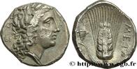 Classic 3 (350 BC to 323 BC) Nomos, statère ou didrachme LUCANIA - METAPONTUM Métaponte, Lucanie c. 300-290 AC. (20mm, 7,57g, 3h) -
