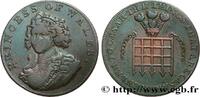 BRITISH TOKENS OR JETTONS 1/2 Penny Middlesex Princesse de Galles BRITISH TOKENS OR JETTONS (1795) (29,mm, 9,24g, 6h) -