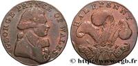 BRITISH TOKENS OR JETTONS 1/2 Penny (Essex) Warley Camp BRITISH TOKENS OR JETTONS 1793 (28,30mm, 9g, 6h) -