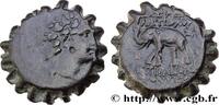 Hellenistic 2 (188 BC to 30 BC) Unité SYRIA - SELEUKID KINGDOM - ANTIOCHUS VI DIONYSUS Syrie, Antioche c. 145-142 AC. (23mm, 8,93g, 12h) -
