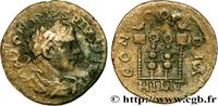 THE SEVERANS (193 AD to 235 AD) Denier ELAGABALUS Antioche 218-220 (18mm, 1,72g, 7h) -