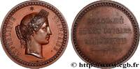 FRANCE Médaille, Proclamation de la Deuxième République DEUXIÈME RÉPUBLIQUE 1848 (47,5mm, 72,42g, 12h) -