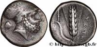 Classic 3 (350 BC to 323 BC) Nomos ou Didrachme LUCANIA - METAPONTUM Métaponte c. 330 AC. (21,5mm, 7,62g, 5h) -