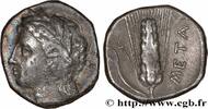 Classic 3 (350 BC to 323 BC) Nomos, statère ou didrachme LUCANIA - METAPONTUM Métaponte, Lucanie c. 300-280 AC. (21mm, 7,56g, 3h) -
