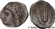 Classic 3 (350 BC to 323 BC) Nomos, statère ou didrachme LUCANIA - METAPONTUM Métaponte, Lucanie c. 300-280 AC. (20,5mm, 6,93g, 11h) -
