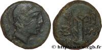 Hellenistic 2 (188 BC to 30 BC) Unité PONTUS - AMISOS Amisos, Pont c. 85-65 AC. (19mm, 7,10g, 1h) -