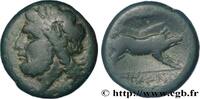 Hellenistic 1 (323 BC to 188 BC) Unité APULIA - ARPI Arpi, Apulie c. 325-275 AC. (21,5mm, 7,58g, 3h) -