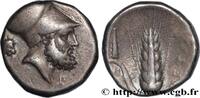 Classic 3 (350 BC to 323 BC) Nomos ou Didrachme LUCANIA - METAPONTUM Métaponte c. 330 AC. (19,5mm, 7,76g, 11h) -
