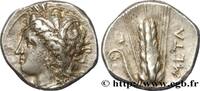 Classic 3 (350 BC to 323 BC) Nomos, statère ou didrachme LUCANIA - METAPONTUM Métaponte, Lucanie c. 300-280 AC. (20mm, 7,94g, 6h) -