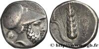 Classic 3 (350 BC to 323 BC) Nomos ou Didrachme LUCANIA - METAPONTUM Métaponte c. 330 AC. (20mm, 7,79g, 3h) -