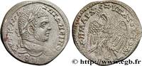 THE SEVERANS (193 AD to 235 AD) Tétradrachme syro-phénicien CARACALLA Laodicée, Syrie, Séleucie et Piérie 215-217 (27mm, 12,78g, 12h) -