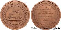 FRANCE Médaillon en terre cuite, Cirque olympique de Bord LOUIS-PHILIPPE Ier 33 - Bordeaux 1836 (92,5mm, 86,44g, 12h) -