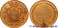 FRANCE Médaille, Société des régates parisiennes MER ET MARINE : PAQUEBOTS, NAVIRES, BATEAUX 1894 (56,5mm, 76,44g, 12h) -