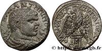 THE SEVERANS (193 AD to 235 AD) Tétradrachme syro-phénicien CARACALLA Sidon, Phénicie 215-217 (26mm, 12,50g, 6h) -