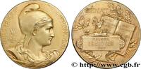 FRANCE Médaille, Sénat POLITIQUE ET POLITICIENS 1897 (50,5mm, 66,46g, 12h) -