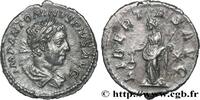 THE SEVERANS (193 AD to 235 AD) Denier ELAGABALUS Rome 220 (19mm, 2,78g, 6h) -