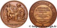 FRANCE Médaille d’honneur, Société industrielle de Mulhou ACADÉMIES ET SOCIÉTÉS SAVANTES 90 - Belfort 1910 (81,5mm, 239,55g, 12h) -