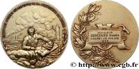 FRANCE Médaille, Union des anciens combattants QUATRIÈME RÉPUBLIQUE 1956 (47,5mm, 52,08g, 12h) -