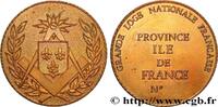 FRANCE Médaille, Grande Loge Nationale Française, Provinc FRANC - MAÇONNERIE n.d. (65mm, 112,35g, 12h) -