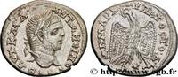 THE SEVERANS (193 AD to 235 AD) Tétradrachme syro-phénicien CARACALLA Laodicée, Syrie, Séleucie et Piérie 215-217 (25mm, 13,28g, 12h) -