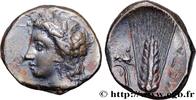 Classic 3 (350 BC to 323 BC) Nomos, statère ou didrachme LUCANIA - METAPONTUM Métaponte, Lucanie c. 300-280 AC. (21mm, 7,79g, 3h) -