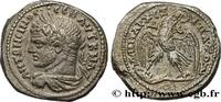 THE SEVERANS (193 AD to 235 AD) Tétradrachme syro-phénicien CARACALLA Antioche, Syrie, Séleucie et Piérie 215-217 (27mm, 14,81g, 6h) -