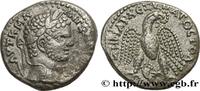 THE SEVERANS (193 AD to 235 AD) Tétradrachme syro-phénicien CARACALLA Antioche, Syrie, Séleucie et Piérie 215-217 (24mm, 11,89g, 12h) -