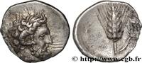 Classic 3 (350 BC to 323 BC) Diobole LUCANIA - METAPONTUM Métaponte, Lucanie c. 325-275 AC. (11,5mm, 1,01g, 1h) -