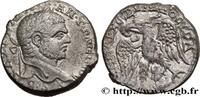 THE SEVERANS (193 AD to 235 AD) Tétradrachme syro-phénicien CARACALLA Émèse, Syrie, Séleucie et Pierie 215-217 (25mm, 13,66g, 12h) -