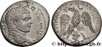 THE SEVERANS (193 AD to 235 AD) Tétradrachme syro-phénicien CARACALLA Émèse, Syrie, Séleucie et Pierie 215-217 (23mm, 13,52g, 12h) -