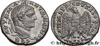 THE SEVERANS (193 AD to 235 AD) Tétradrachme syro-phénicien CARACALLA Akko-Ptolemais, Phénicie 215-217 (25mm, 11,48g, 12h) -