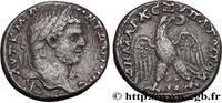THE SEVERANS (193 AD to 235 AD) Tétradrachme syro-phénicien CARACALLA Akko-Ptolemais, Phénicie 215-217 (25mm, 13,97g, 12h) -