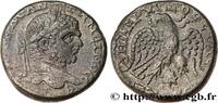 THE SEVERANS (193 AD to 235 AD) Tétradrachme syro-phénicien CARACALLA Émèse, Syrie, Séleucie et Pierie 215-217 (24mm, 14,03g, 12h) -