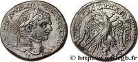 THE SEVERANS (193 AD to 235 AD) Tétradrachme syro-phénicien CARACALLA Émèse, Syrie, Séleucie et Pierie 215-217 (24,5mm, 13,80g, 12h) -