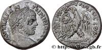THE SEVERANS (193 AD to 235 AD) Tétradrachme syro-phénicien CARACALLA Chypre 215-217 (25mm, 12,86g, 12h) -