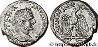THE SEVERANS (193 AD to 235 AD) Tétradrachme syro-phénicien CARACALLA Séleucie, Syrie, Séleucie et Pierie 215-217 (25,5mm, 13,18g, 12h) -