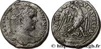THE SEVERANS (193 AD to 235 AD) Tétradrachme syro-phénicien CARACALLA Damas, Syrie, Coelé-Syrie 215-217 (25,5mm, 15,35g, 12h) -