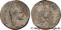 THE SEVERANS (193 AD to 235 AD) Tétradrachme syro-phénicien CARACALLA Chypre 215-217 (26mm, 13,97g, 12h) -