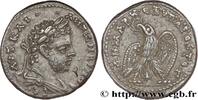 THE SEVERANS (193 AD to 235 AD) Tétradrachme syro-phénicien CARACALLA Laodicée, Syrie, Séleucie et Piérie 209-211 (27mm, 15,48g, 12h) -