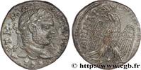 THE SEVERANS (193 AD to 235 AD) Tétradrachme syro-phénicien CARACALLA Laodicée, Syrie, Séleucie et Piérie 215-217 (25mm, 11,73g, 12h) -