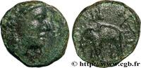 Hellenistic 1 (323 BC to 188 BC) Unité SYRIA - SELEUKID KINGDOM - ANTIOCHUS III THE GREAT Atelier incertain, Syrie c. 222-187 AC. (11,5mm, 1,82g, 12h) -