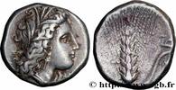 Classic 3 (350 BC to 323 BC) Nomos, statère ou didrachme LUCANIA - METAPONTUM Métaponte, Lucanie c. 330-290 AC. (20mm, 7,85g, 9h) -