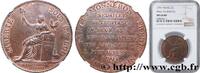FRANCE Monneron de 2 sols à la Liberté REVOLUTION COINAGE / CONFIANCE (MONNAIES DE…) Birmingham, Soho 1791 (32mm, 17,5g, 6h) -