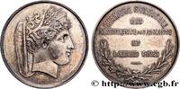 FRANCE DIAMANTAIRES CORPORATIONS n.d. (33,5mm, 14,55g, h) -