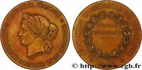 FRANCE Médaille commémorative, Exposition universelle de EXPOSITIONS UNIVERSELLES 1888 (59,5mm, 98,60g, 12h) -