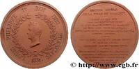 FRANCE Médaillon en terre cuite, Abattoir général de la v LOUIS-PHILIPPE Ier 33 - Bordeaux 1831 (117mm, 183,04g, 12h) -