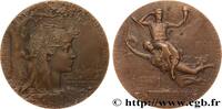 FRANCE Médaille, Exposition universelle internationale, C EXPOSITIONS UNIVERSELLES 75 - Paris 1900 (63,5mm, 101,29g, 12h) -