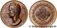 FRANCE Médaille, Comte de Tournon, Pair de France MONUMENTS 69 - Lyon 1824 (50,5mm, 49,95g, 12h) -