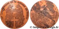 FRANCE Médaille, 70e anniversaire de la Bataille de Verdu SECONDE GUERRE WWII Monnaie de Paris 1986 (71,5mm, 165,13g, 12h) -
