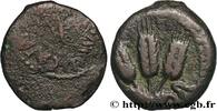 THE JULIO-CLAUDIANS (27 BC to 69 AD) Prutah JUDAEA - HERODIAN KINGDOM - AGRIPPA I Judée, Jérusalem 41-42 (16,5mm, 1,96g, 12h) -